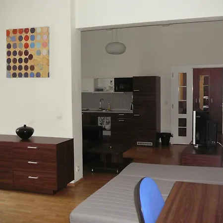 Apartament Lion Medena, Big Size, High Ceilings *