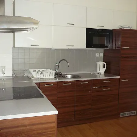 Lion Medena, Big Size, High Ceilings Apartament