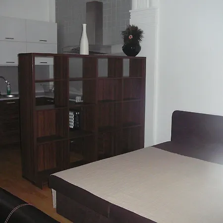 Lion Medena, Big Size, High Ceilings Apartament *